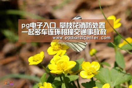 pg电子入口