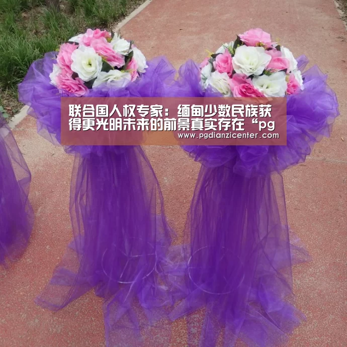 联合国人权专家:缅甸少数民族获得更光明未来的前景真实存在“pgdianzi”(图2) pg电子入口