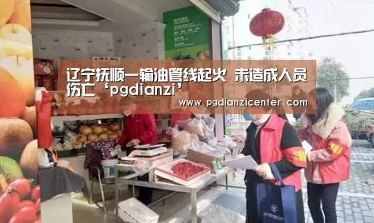 辽宁抚顺一输油管线起火 未造成人员伤亡‘pgdianzi’